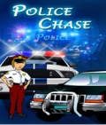 Police Car Chase