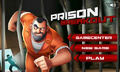 Prison Breakout