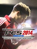 Pro Evolution Soccer 2014 Mod 240320