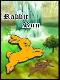 Rabbit Run