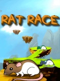 Rat Race 240x320