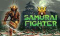 Samurai Fighter