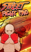 Street Fight Pro