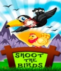 Shoot The Birds 176x208