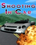 Shooting In Car