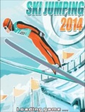 Ski Jumping 2014