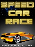 Speed Car Race