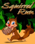 Squirrel Run   Free mobile app for free download