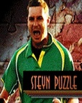 Steyn Puzzle