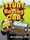 Stunt  Racing  Car