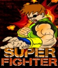 Super Fighter Free Game 176x208