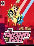 The Power Puff Girls Robo Storm