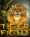 Tiger Fight 176x220