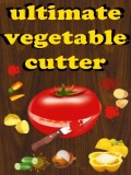 Ultimate Vegetable Slicer mobile app for free download