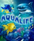 Aqua Life