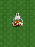 Bunny Adventure