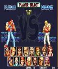 Fatal Fury