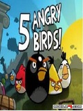 Five Angry Birds