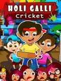 Holi Galli Cricket