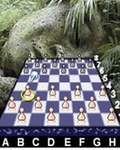 Kasparov Chess