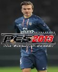 Pes 2013 Full Transfer January