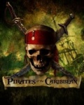 Pirates Of The Caribbean On Stranger Tides 176x220
