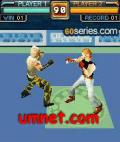 Wining Fighters 3d