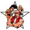 Fatal Fury Special 1.62