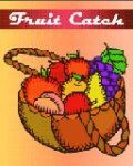 Fruitcatch 160
