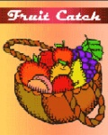 FruitCatch 160 mobile app for free download