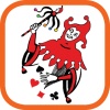 Net.rummy Hd 1.0