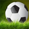 Soccer Championship Penalty Kicks 3d 1.2.0.0