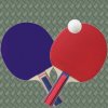 Table Tennis Pro 2d And 3d 1.0