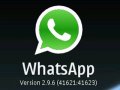 WhatsApp mobile app for free download