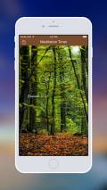 Meditation Timer Pro mobile app for free download