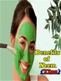 Benefits Of Neem