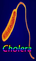 Cholera mobile app for free download