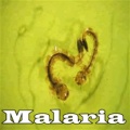 Malaria mobile app for free download