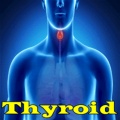 Thyroid