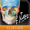 Netters Anatomy Atlas 1.1.36