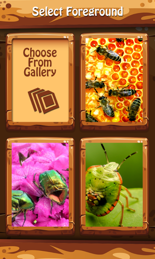 Bugs Zipper Lock Screen