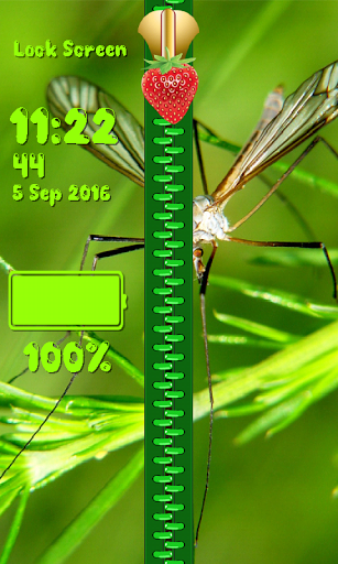 Bugs Zipper Lock Screen
