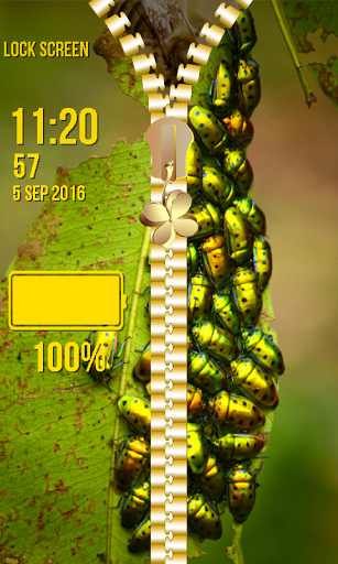 Bugs Zipper Lock Screen