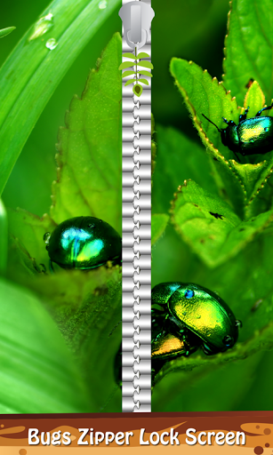 Bugs Zipper Lock Screen