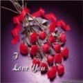 Am I in Love..? mobile app for free download