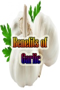 Benefits Of Garlic