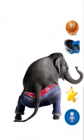 Dancing Talking Elephant mobile app for free download