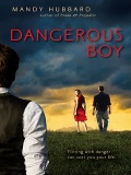 Dangerous Boy  Mandy Hubbard