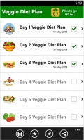 Fat To Fit Veggie Diet Plan Lite