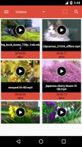 RaysCast (For Chromecast) mobile app for free download